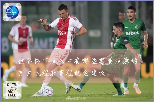 世界杯下注入口有哪些需要注意的开户流程和赛程配合建议