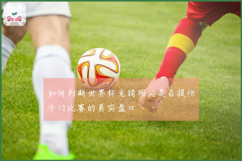 如何判断世界杯竞猜网站是否提供冷门比赛的真实盘口